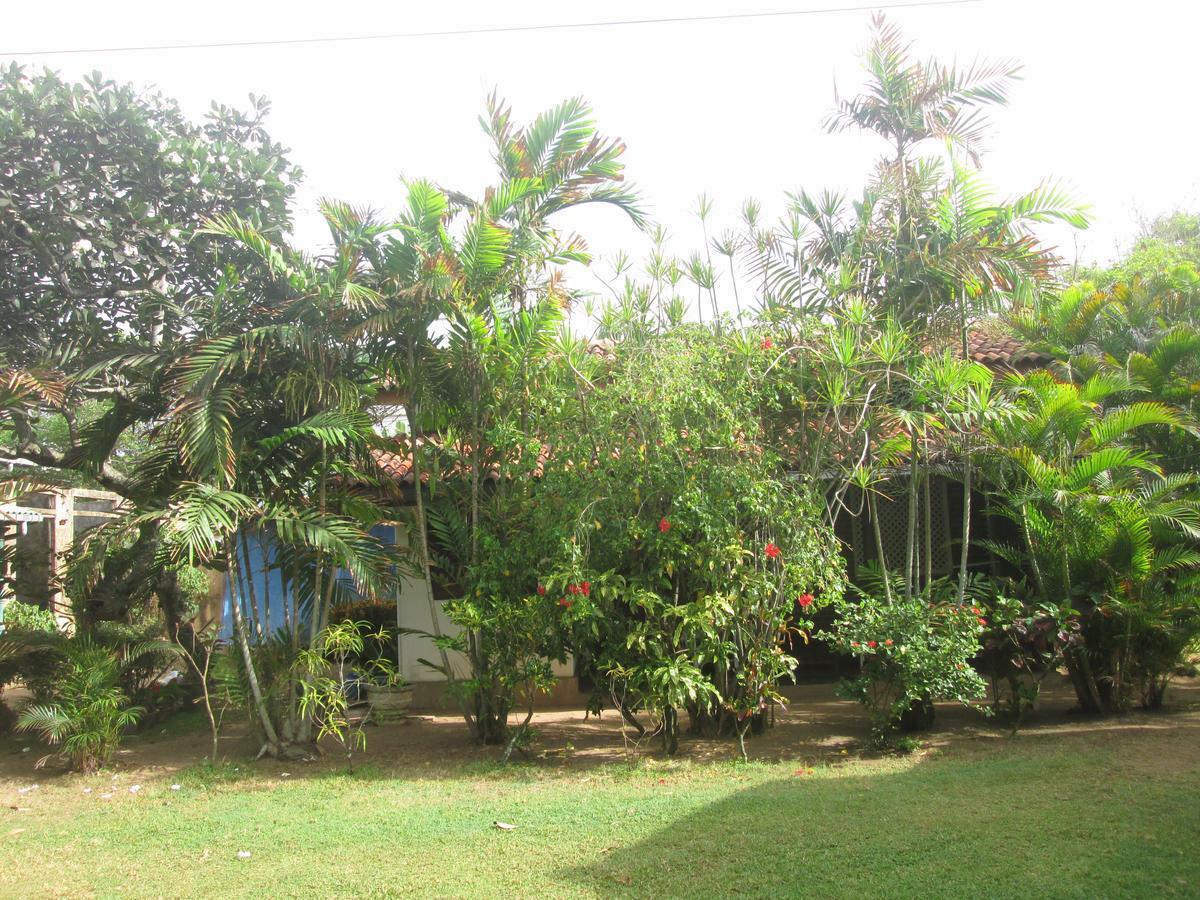 Cottage Garden Bungalows Moratuwa Exteriér fotografie